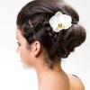 Frisuren 22